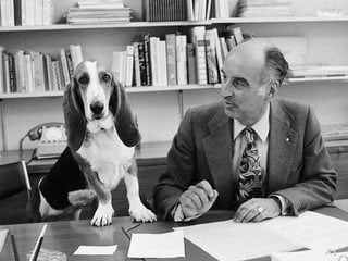 Hund auf Schreibtisch des Dirigenten. Hund auf Schreibtisch des Dirigenten.