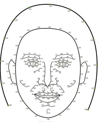 Eine Skizze eines Gesichtes, in dem mit Nummern die "Messpunkte" verzeichnet sind, die britische Psychologen für ihre Analysen verwendeten.