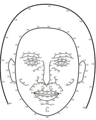 Eine Skizze eines Gesichtes, in dem mit Nummern die "Messpunkte" verzeichnet sind, die britische Psychologen für ihre Analysen verwendeten. Eine Skizze eines Gesichtes, in dem mit Nummern die "Messpunkte" verzeichnet sind, die britische Psychologen für ihre Analysen verwendeten.