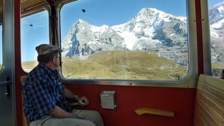 Ein Mann sitzt im Zug und betrachtet ein schönes Bergpanorama.