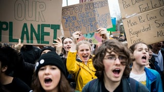 Jugendliche protestieren an einer Klimademo und halten Transparente für mehr Umweltschutz in die Höhe.