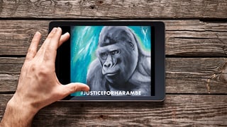Eine Zeichnung des Gorillas Harambe auf einem Ipad, das auf einem Tisch liegt.