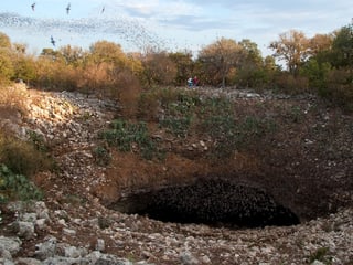 Ein Höhleneingang mit unzähligen Fledermäusen.