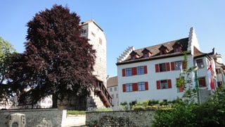 Schloss Arbon