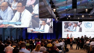 Saal mit Videoleindwänden