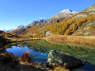 Alpsee