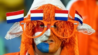 Ein orange angemalter Holland-Fan.