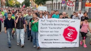Demonstranten in Heidenau tragen ein asylkritisches Transparent vor sich her. 