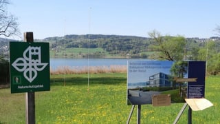 Vor einem See stehen zwei Tafeln am Ufer. Eines zeigt das Symbol des Naturschutz, daneben wirbt ein Plakat für Luxuswohnungen.