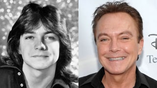 Porträt von David Cassidy