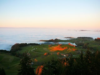 Blick auf eine Hügellandschaft und das Nebelmeer.