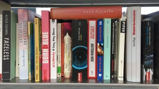 Verschiedene Bücher in einem Regal. Verschiedene Bücher in einem Regal.