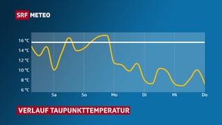 Diagramm zeigt den Verlauf der Taupunkttemperatur: Am Samstag und Sonntag übersteigt der Taupunkt 16 Grad, was als Schwüle-Grenze bekannt ist. Darum wird es am Wochenende trotz leichter Abkühlung tüppig. Diagramm zeigt den Verlauf der Taupunkttemperatur: Am Samstag und Sonntag übersteigt der Taupunkt 16 Grad, was als Schwüle-Grenze bekannt ist. Darum wird es am Wochenende trotz leichter Abkühlung tüppig.