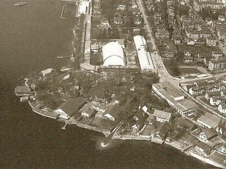 Luftaufnahme des Dörflis an der Landi 1939