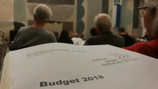 Blatt mit der Aufschrift Budget. Im Hintergrund das Parlament von Olten.