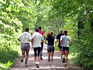 Eine Gruppe Menschen joggt im Wald.