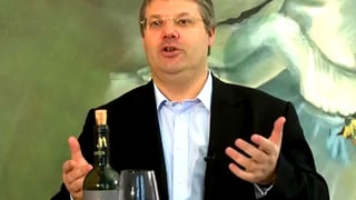 Master of Wine, Philipp Schwander, referiert vor einer grünen Tapete.
