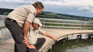 Zwei Männer in Helbbraunem Hemd an einem See. Zwei Männer in Helbbraunem Hemd an einem See.