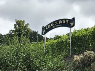 Das Weingut heisst «Clos du Boux » und liegt mitten in den steilen Terrassen des Weinbaugebiets Lavaux.