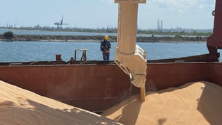 Getreide wird im Hafen Constanta auf ein Frachterschiff geladen.