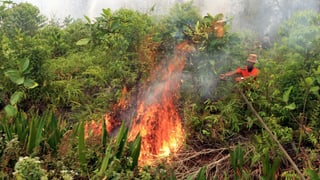 Waldbrand in Indonesien