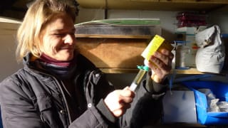 Tierärztin Corinne Bähler zieht eine Spritze auf. Tierärztin Corinne Bähler zieht eine Spritze auf.