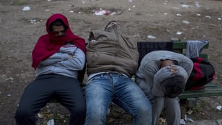 Drei Männer übernachten im Sitzen auf einer Parkbank, die Pullis um den Kopf gewickelt.
