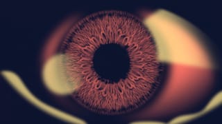 Der Geisterzug von Spiez (Artikel enthält Audio)