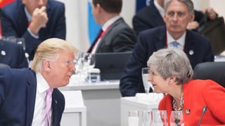 Donald Trump spricht mit Theresa May