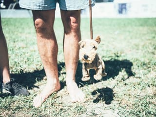 Wir dachten erst, das wäre ein echter Doggo.