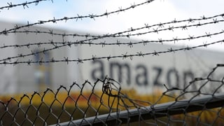 Amazon hinter Gittern.