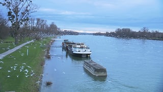 Rhein bei Strassburg