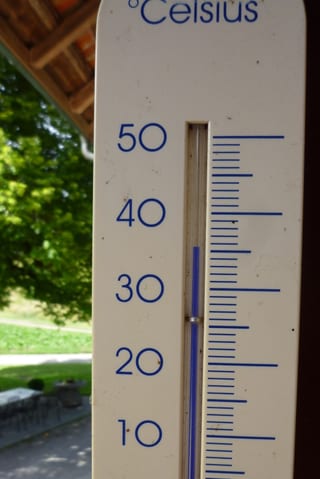 Das Bild zeigt ein Thermometer, die Quecksilbersäule ist bis auf 36 Grad angestiegen.