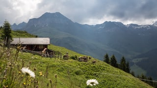 Alphütte mit Weide