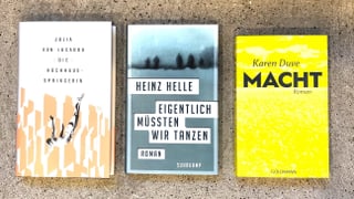 Drei Romane vor Betonhintergrund - Julia von Lucadou: Die Hochhausspringerin, Heinz Helle: Eigentlich müssten wir tanzen und Karen Duve: Macht.