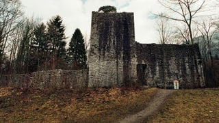 Die Ruine Weissenau am Thunersee.