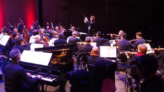 Das Orchester bei einem Auftritt. Das Orchester bei einem Auftritt.