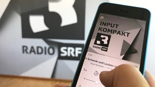 Input