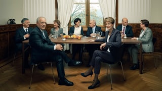 Das Bundesratsfoto 2015. Das Bundesratsfoto 2015.