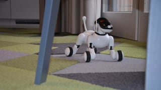 Roboterhund Roboterhund