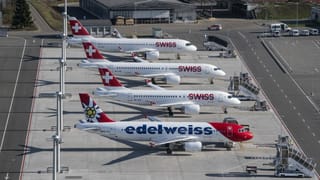 Swiss und Edelweiss. Swiss und Edelweiss.