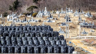 Ein Depot mit schwarzen Plastiksäcken. In ihnen lagert radioaktive Erde aus der Region des japanischen Kernkraftwerks Dai-ichi in Fukushima.