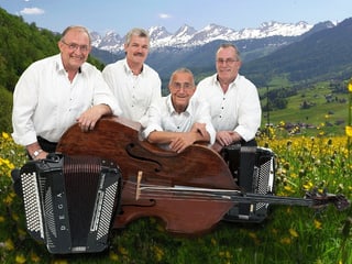 Die vier Musikanten in weissen Hemden posieren mit ihren Instrumenten auf einer Blumenwiese vor einer Bergkulisse.
