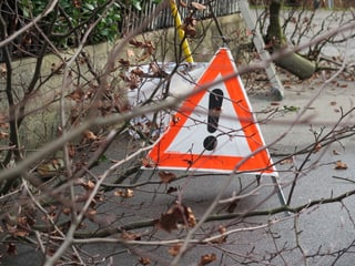 Oranges Warnschild steht auf Strasse, im Vordergrund Äste.