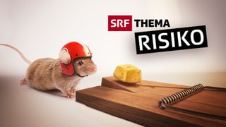 Eine Maus mit Helm schnuppert an einem Käse, der auf einer Mäusefalle liegt (Bildmontage)