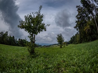 Fläche in Meilen Fläche in Meilen