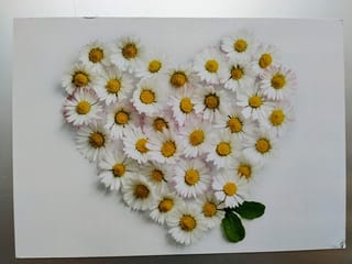 Julia (5) aus Zürich.