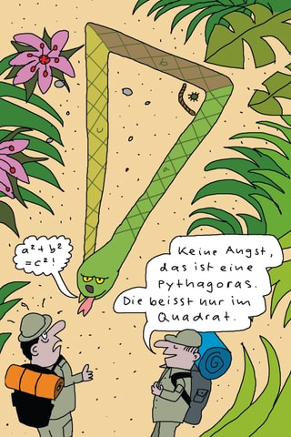 Cartoon: Eine dreieckige Pythagoras-Schlange