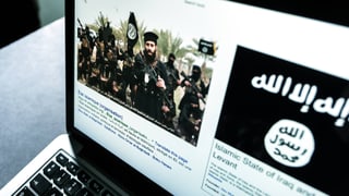 Ein Bild mit IS-Kämfpern auf einem Computer-Bildschirm.