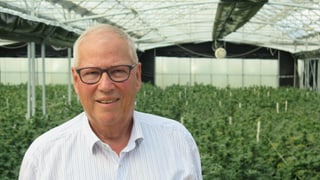 Porträt älterer Mann mit Brille Porträt älterer Mann mit Brille
